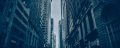 cropped-gallery-6.jpg cropped-gallery-6.jpg